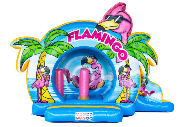 Chateau Gonflable Bouncedome avec Toboggan Flamant Rose vue 2