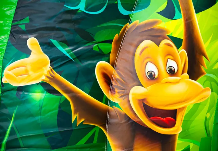 Chateau Gonflable Bouncedome avec Toboggan Jungle vue 4