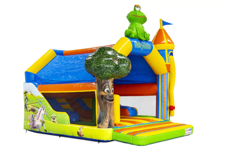 Chateau Gonflable Combounce Conte de Fees vue 3